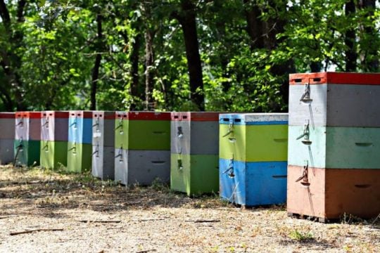 Δίκτυο Τοπικής Επιχειρηματικότητας